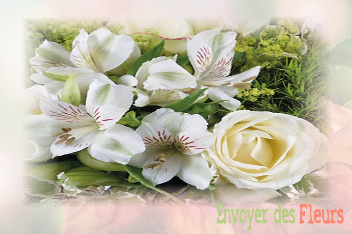 envoyer des fleurs à à VILLE-AU-MONTOIS